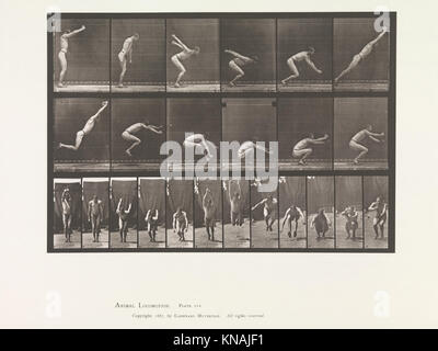 Cette étude électro-photographique d’Eadweard Muybridge enregistre des phases séquentielles du mouvement humain et animal, en se concentrant sur le bassin et le tissu en mouvement, contribuant ainsi à l’étude du mouvement et à l’analyse photographique. Banque D'Images