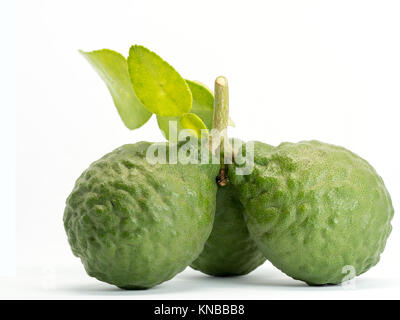 Close up groupe de bergamote fraîche avec des feuilles vertes isolé sur fond blanc. Avantages de la bergamote pour la beauté et la santé concept Banque D'Images