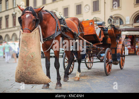 Horse de consommer de l'avoine de sac de jute Banque D'Images