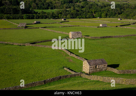 Gunnerside prés ; Swaledale ; Yorkshire ; UK Banque D'Images