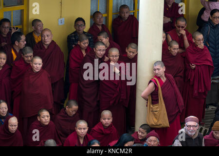 Moines tibétains se réunissent au dalaï-Lama Temple complexe de Mcleod Ganj, Inde Banque D'Images