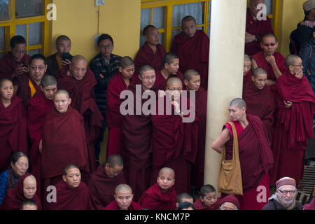 Moines tibétains se réunissent au dalaï-Lama Temple complexe de Mcleod Ganj, Inde Banque D'Images