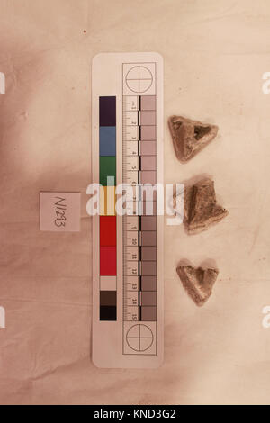 Ce fragment non identifié dans la collection MET manque de support ou de dimensions spécifiques, mais contribue à la compréhension du matériel, du contexte et de la préservation historique. Banque D'Images