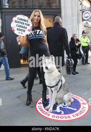 Londres, Royaume-Uni. 8 Décembre, 2017. Anneka Svenska et son compagnon canin protester à l'extérieur du Canada Goose flagship store de Regent Street pour PETA's campagne pour la fin de la trappe et de tuer les coyotes pour Fur-Trimmed Manteaux Banque D'Images