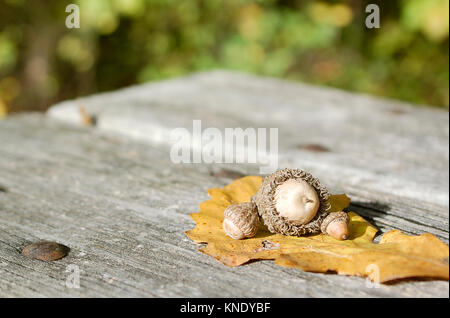 Le Chêne à gros glands avec feuille d'automne sur une surface en bois à l'extérieur Banque D'Images