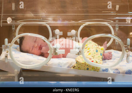 Bébé nouveau-né fille dans un incubateur de l'hôpital Banque D'Images
