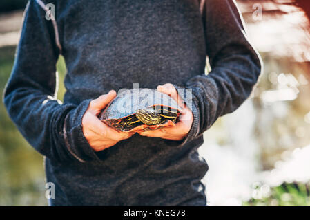 Boy holding une tortue Banque D'Images