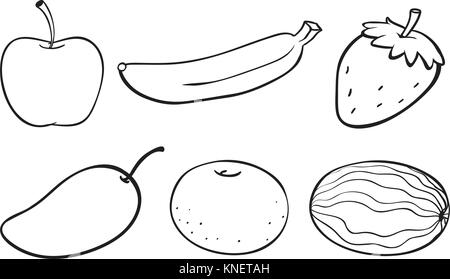 Illustration d'un croquis de divers fruits sur fond blanc Illustration de Vecteur