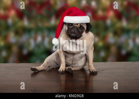 Noël drôle chiot pug dog assis sur sol en bois, le port de santa claus hat, l'arrière-plan de saison Banque D'Images