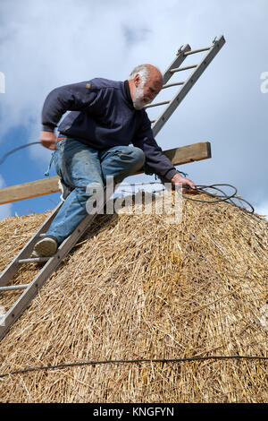 Thatcher au travail sur le toit de l'usine scandinaves Shawbost, Isle Of Lewis, Scotland Banque D'Images