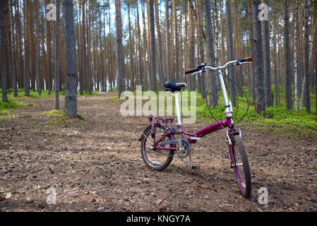 Vélo pliant rouge claret est debout sur les aiguilles dans une forêt de pins Banque D'Images