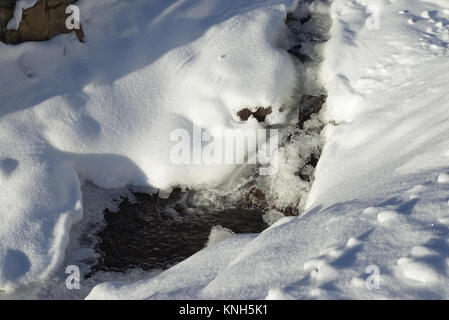 Petit cours d'eau en hiver, Drammensmarka, Norvège Banque D'Images