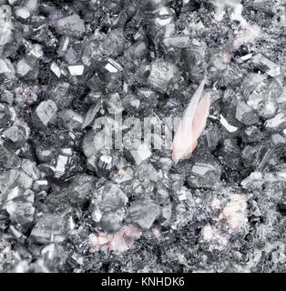 Extreme close up de la cérusite minéral isolé sur fond blanc Banque D'Images