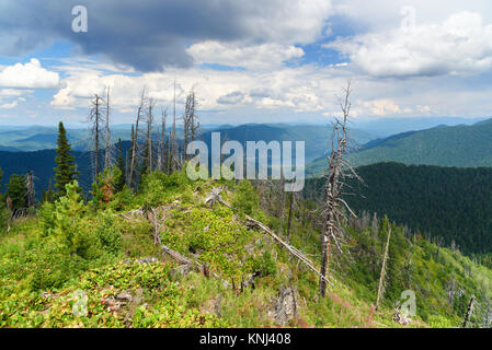 Haut de Kokuya Mountain et vue sur le lac Teletskoye. République de l'Altaï. La Sibérie. La Russie Banque D'Images