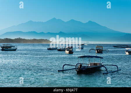 Les îles Gili avec une incroyable diversité de la vie marine, de la migration des baleines de créatures intertidales colorée offre une expérience vraiment inoubliable Banque D'Images