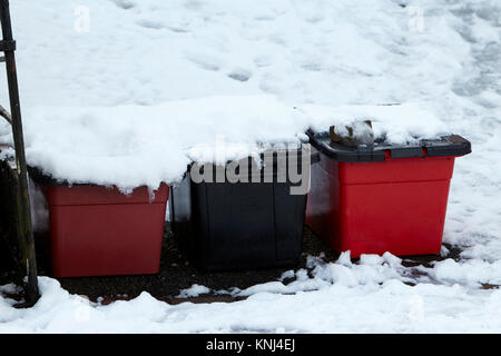 Bacs de recyclage en bordure de rue non recouvert de neige newtownabbey irlande du nord uk Banque D'Images