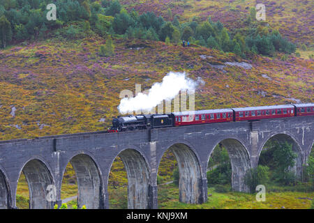 Le Poudlard Express train à vapeur passant sur le viaduc de Glenfinnan, Lochaber, Highland d'Écosse, Royaume-Uni Banque D'Images