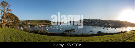 Vue panoramique de Salcombe, Devon, UK Banque D'Images