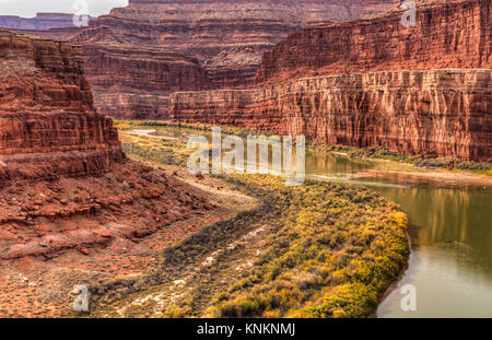 Les chevrons et couleurs d'automne le long de la rivière Colorado au cygne à Canyonlands National Park, en Utah. Banque D'Images