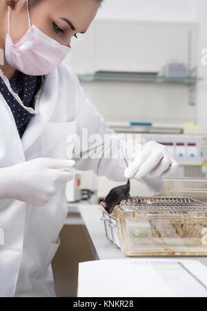 Les femmes scientifiques gère les souris de laboratoire, l'accent sur les yeux Banque D'Images