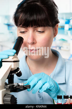 Jeune stagiaire ou étudiant diplômé travaille avec microscope in laboratory Banque D'Images