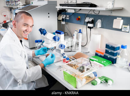 Smiling young scientist travaille dans le laboratoire Banque D'Images