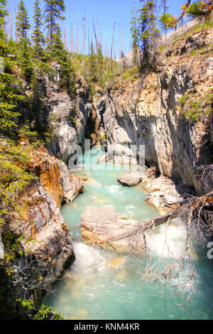 Les eaux turquoise du ruisseau Tokumm traverse en Canyon dans le Parc National de Kootenay, Colombie-Britannique, Canada, près de Banff. Orientation verticale Banque D'Images