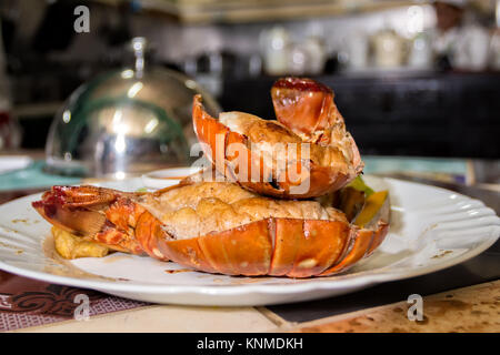 Deux centre d'un homard rosted dans un plat blanc Banque D'Images