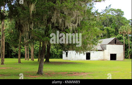 Kingsley Plantation de Jacksonville, Floride. Les arbres et les ruines de la cabine de l'esclave. Banque D'Images