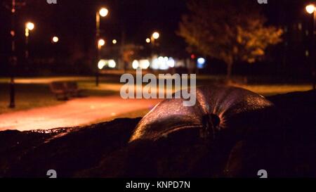 Une vue d'une fontaine dans Jubilee Gardens, Uzès, la nuit. Banque D'Images