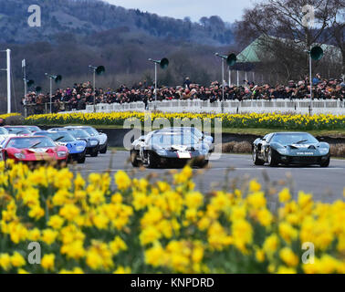 Ligne de la grille, Ford GT40, Alan Mann, Goodwood trophy 74e réunion des membres, des voitures, Chris McEvoy, circuit, CJM Photography, voitures classiques, Angleterre, Banque D'Images