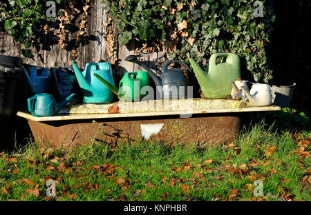 Bidons en plastique sur la vieille baignoire en fonte in allotment gardens, Norfolk, Angleterre Banque D'Images