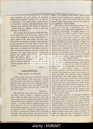 -Ricoglitore Di Cognizioni Utili. Anno 2o, No 12 (15 octobre 1839), p. 50- rencontré 268303 DP202208 Banque D'Images