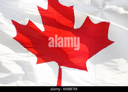 Le rouge et blanc du drapeau canadien à la feuille d'érable symbolique Banque D'Images