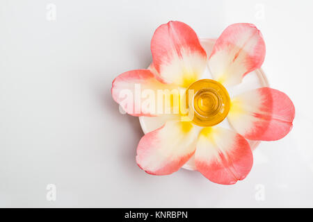 L'huile d'aromathérapie Rose. Flacon compte-gouttes sur la plaque avec des pétales de rose tendre et fleurs, vue du dessus. Banque D'Images