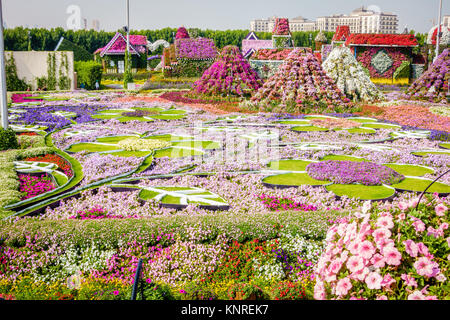 Dubaï, Émirats arabes unis, le 22 janvier 2016 : Miracle Jardin est l'une des principales attractions touristiques de DUBAÏ, ÉMIRATS ARABES UNIS Banque D'Images