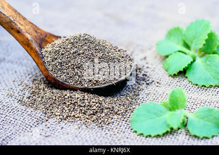 Trachyspermum ammi, graines d'Ajwain dans un scoop en bois avec quelques feuilles sur un fond de jute. Banque D'Images