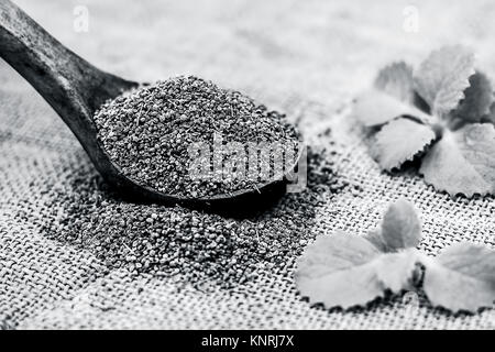 Trachyspermum ammi, graines d'Ajwain dans un scoop en bois avec quelques feuilles sur un fond de jute. Banque D'Images