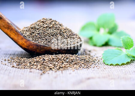 Trachyspermum ammi, graines d'Ajwain dans un scoop en bois avec quelques feuilles sur un fond de jute. Banque D'Images