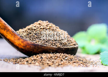 Trachyspermum ammi, graines d'Ajwain dans un scoop en bois avec quelques feuilles sur un fond de jute. Banque D'Images