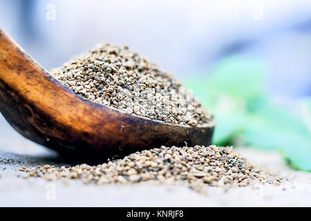 Trachyspermum ammi, graines d'Ajwain dans un scoop en bois avec quelques feuilles sur un fond de jute. Banque D'Images