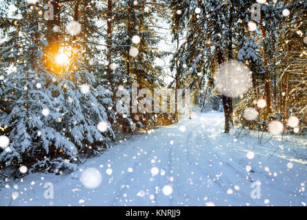 Beau paysage d'hiver avec la forêt et une route Banque D'Images