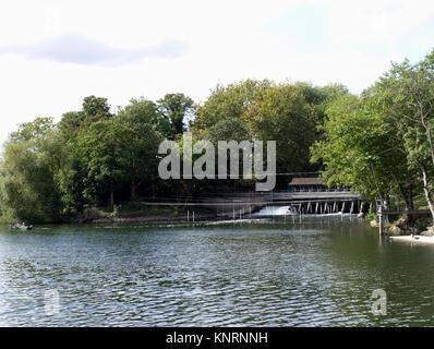 Vue sur Fleuve vers Shepperton Lock de la banque de la Tamise à Weybridge, Surrey, England, UK Banque D'Images