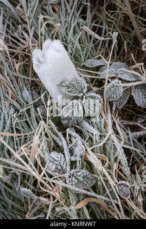 Avec le gel sur le sol, une bouteille en plastique est jetée et jetée dans l'herbe, à Dumfries, en Écosse. Banque D'Images