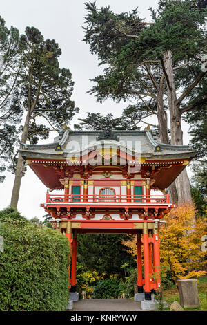 Voir l'aspect traditionnel du temple japonais avec des pins de Monterey et derrière l'automne (automne) Feuilles d'un érable japonais (Acer palmatum sp.) à côté d'i Banque D'Images