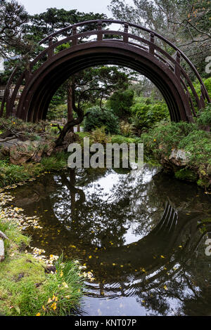 Le tambour pont, avec son reflet dans l'eau encore faire un cercle. Les feuilles d'or de la surplombant le Gingko biloba, ou arbre aux 40 écus, float o Banque D'Images