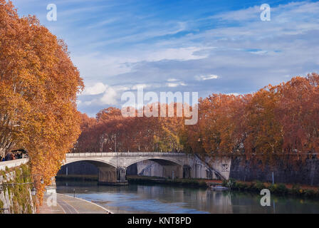 Les feuilles d'automne le long de la rivière Tibre à Rome Banque D'Images