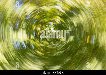 Résumé d'un arbre en utilisant le zoom et de torsion. Vert avec tourbillon. Banque D'Images