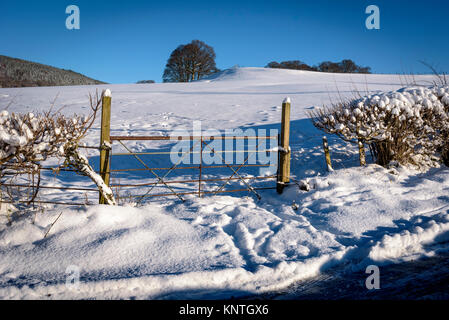 Scène de neige au nord du Pays de Galles. Vallée de Llangollen. Cinq bar ferme. Banque D'Images