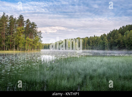 Matin calme avec vue panoramique sur le lac de l'humeur à l'automne dans le parc national de Nuuksio, Finlande Banque D'Images